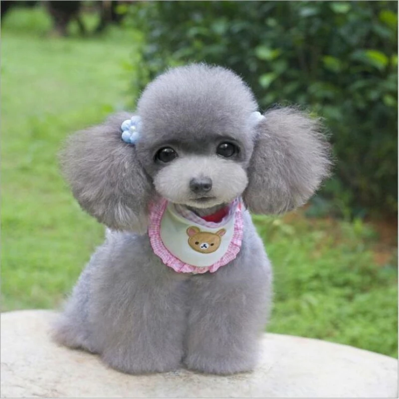 Pet pinafore wiith bear pattern pink blue dog cat accessory | Дом и сад