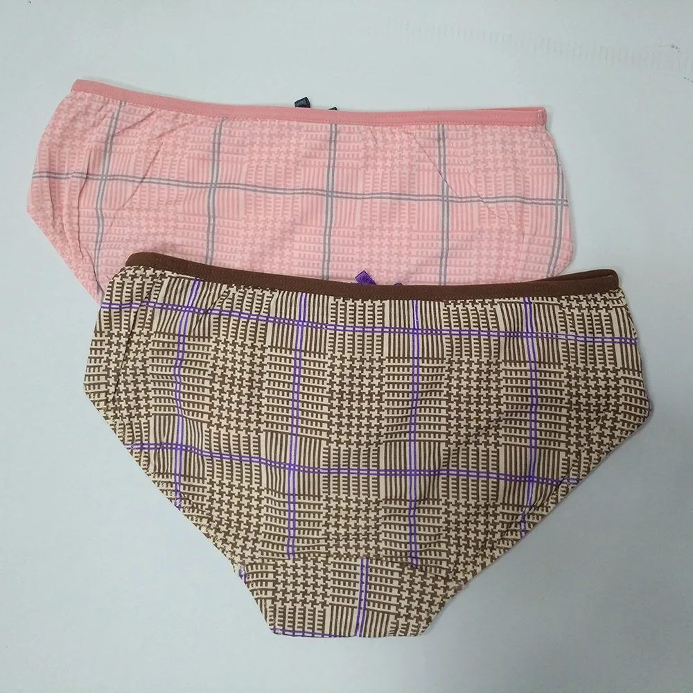 Cueca 2pcs/Lot Womens Briefs Intimates female underwear Bamboo briefs for girls 5861 |