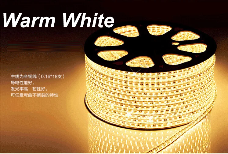 Free shipping 220V SMD 5050 led strip light+Power plug warm white/white/RGB 60leds/m 3014 120leds100m waterproof IP67 Strip | Лампы и