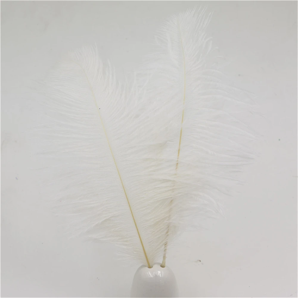 wholesale 10pcs/lot white ostrich feather 20-25cm 8-10 inches feathers for craft plumes free shipping | Дом и сад