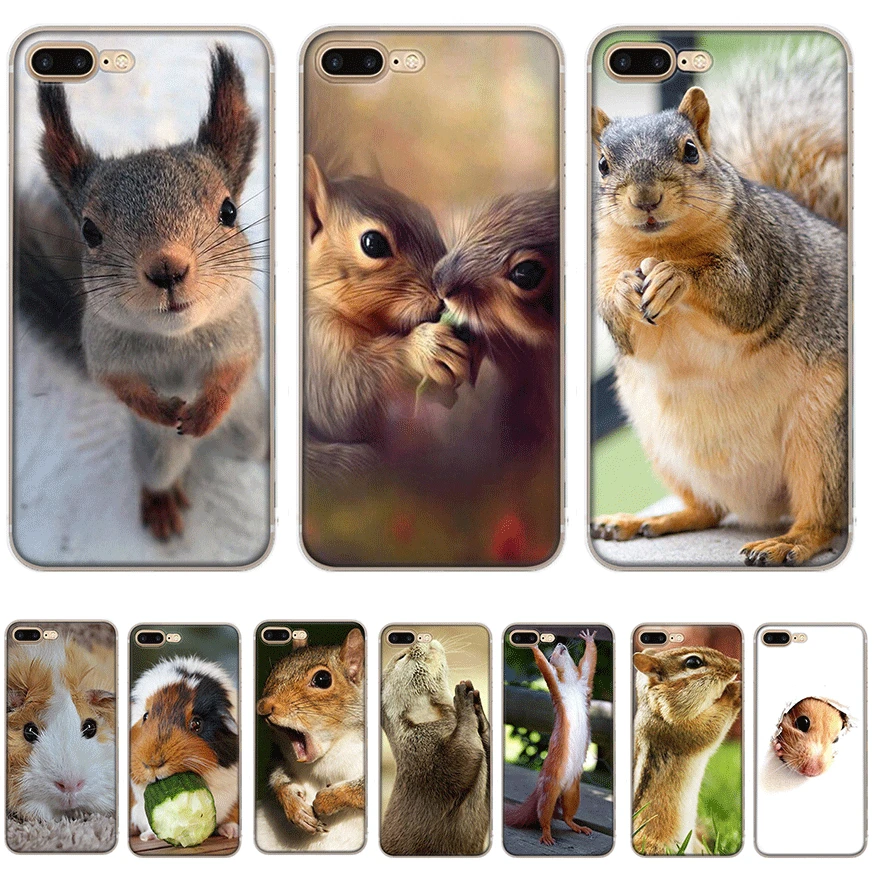 Desxz Squirrel Peanut Mouse Case for iPhone 7 8 6 6s Plus 11 Pro X XR XS Max 5 5S SE Cover Bag |