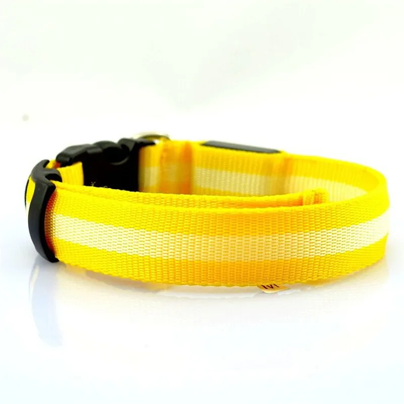 Светодиодный ошейник для собак Honden Halsband с питанием от батареи или USB Перезаряжаемый поводок для собак люминесцентный воротник Перро мигающий A02