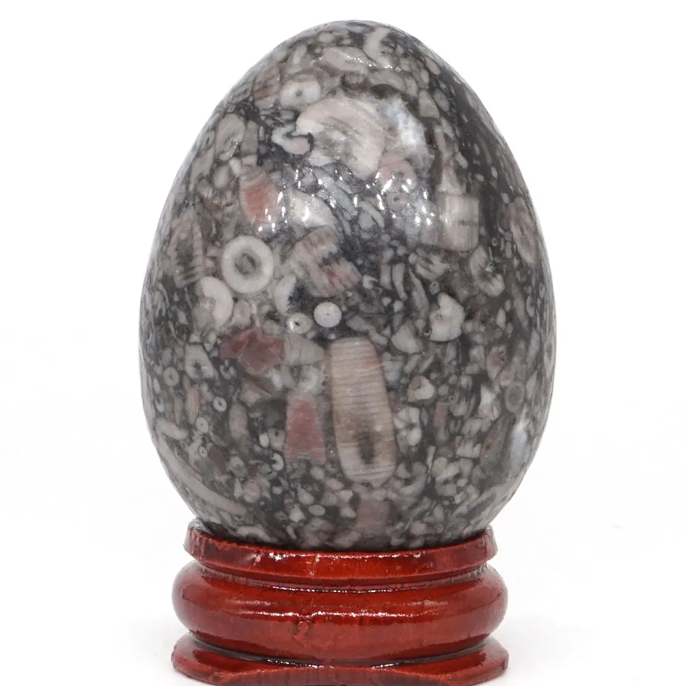 Кристаллический лечебный шар для украшения дома 35*49 мм креноидное Окаменевшее