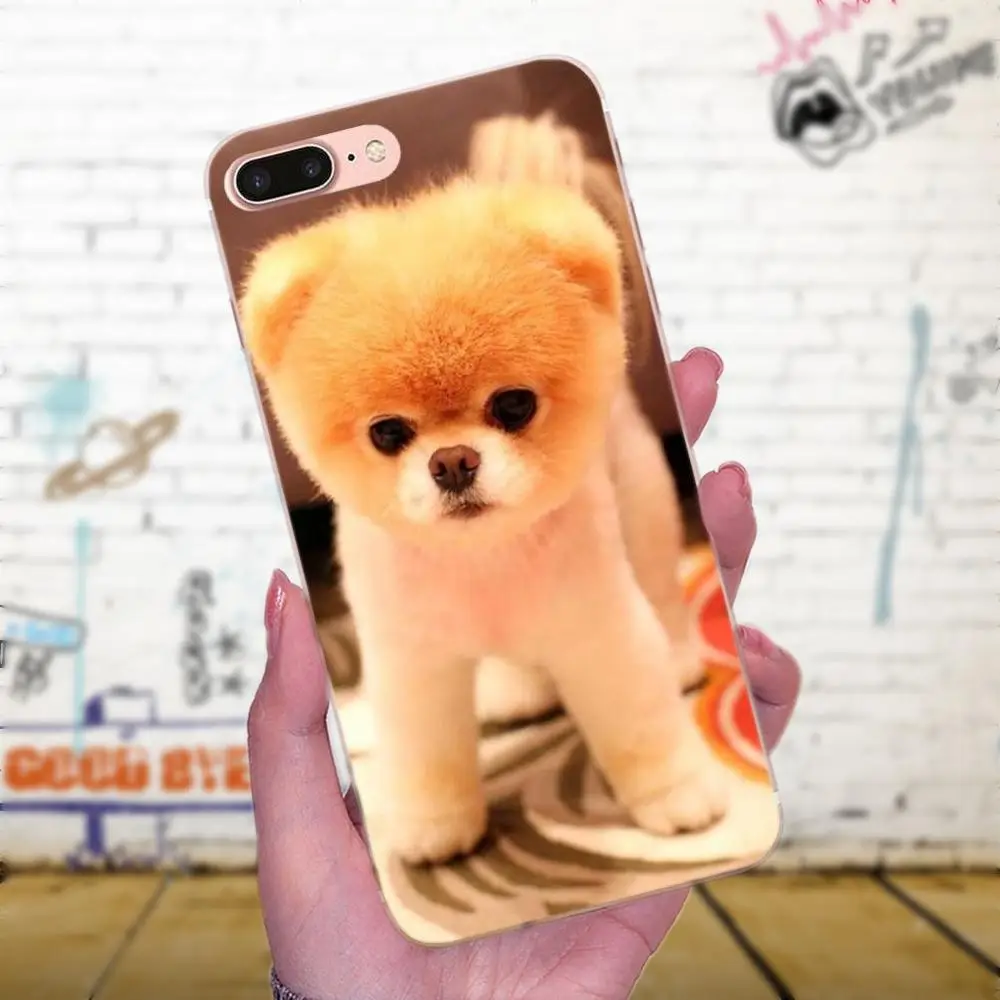 Pomeranian Dog Dogs For Galaxy J1 J2 J3 J330 J4 J5 J6 J7 J730 J8 2015 2016 2017 2018 mini Pro Top Detailed Phone Case | Мобильные