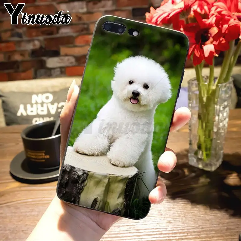 Yinuoda животное Bichon frise собака восхитительный цветной рисунок чехол для телефона Apple iPhone 8 7 6 6S Plus X 5s 11pro SE 5C Чехол