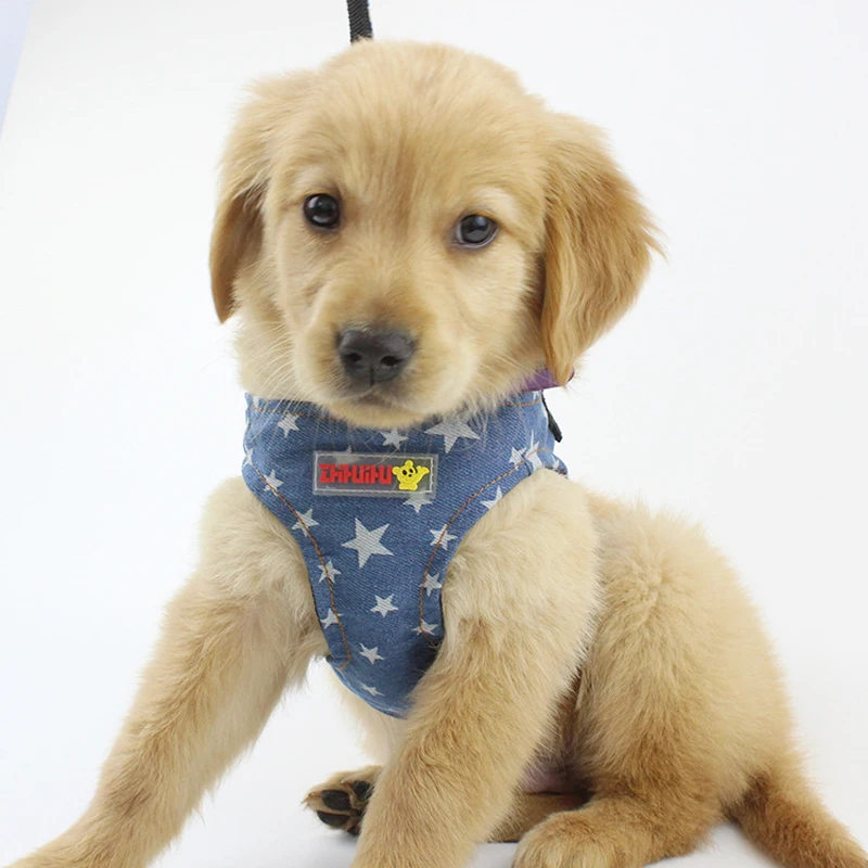 Поводки для собак из денима и звёзд|pet supplies|dog leashvest harness |