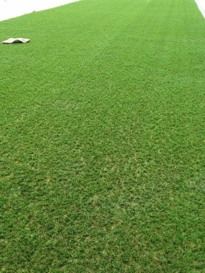 Дешевый пластиковый фотоматериал без запаха как натуральная трава | Спорт и