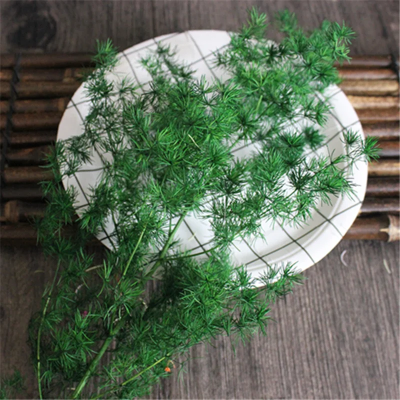 Натуральные сухие цветы для домашнего декора детского дыхания