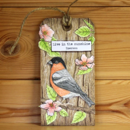 SP Bird прозрачные резиновые штампы/Детские штампы и для скрапбукинга/изготовление