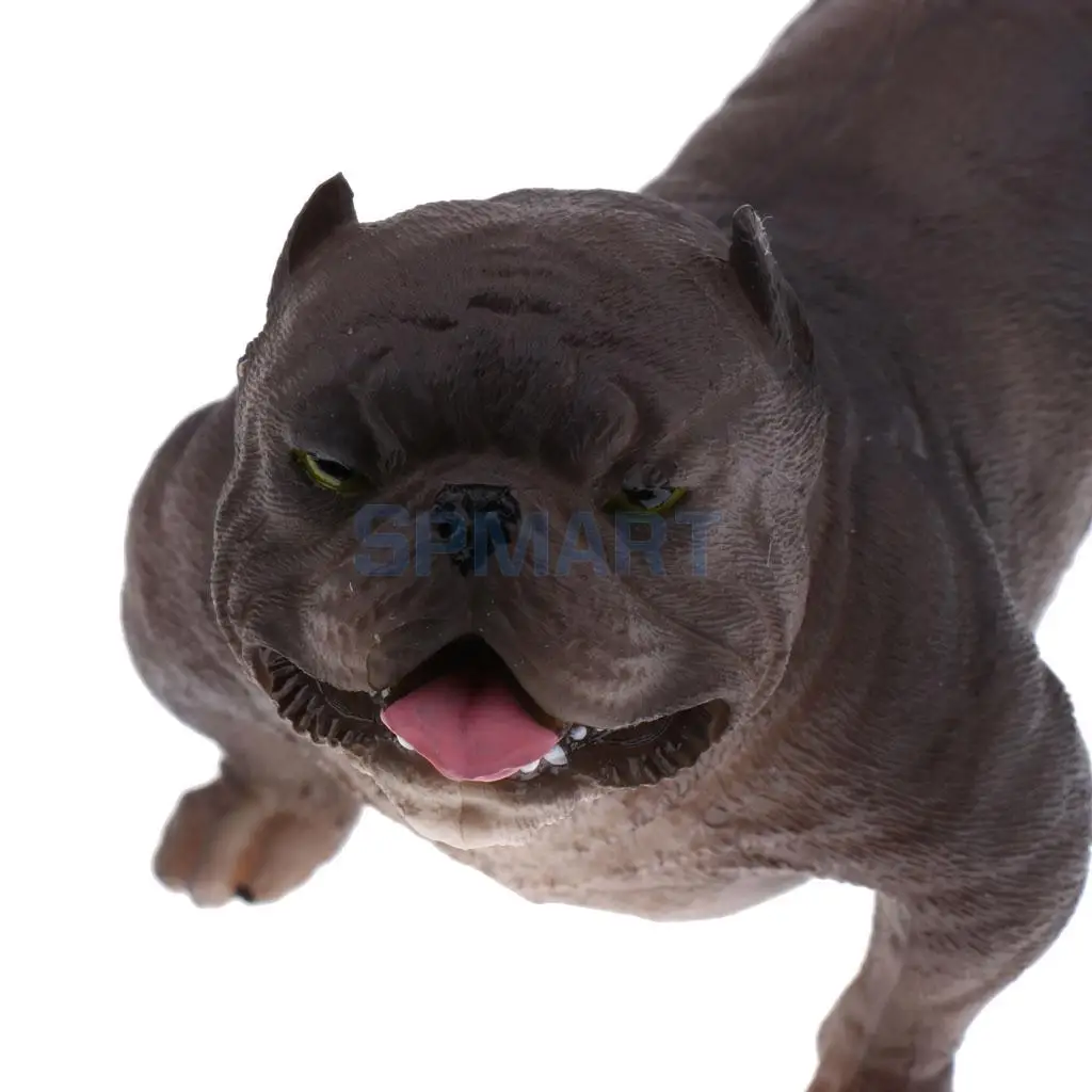 Симуляция дикой природы модель домашних животных фигурки фигурка детская