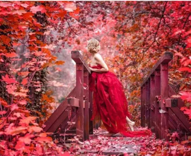 5d Diamond Painting woman Cross Stitch Full Embroidery Autumn maple leaf Mosaic pattern puzzle wall de | Дом и сад