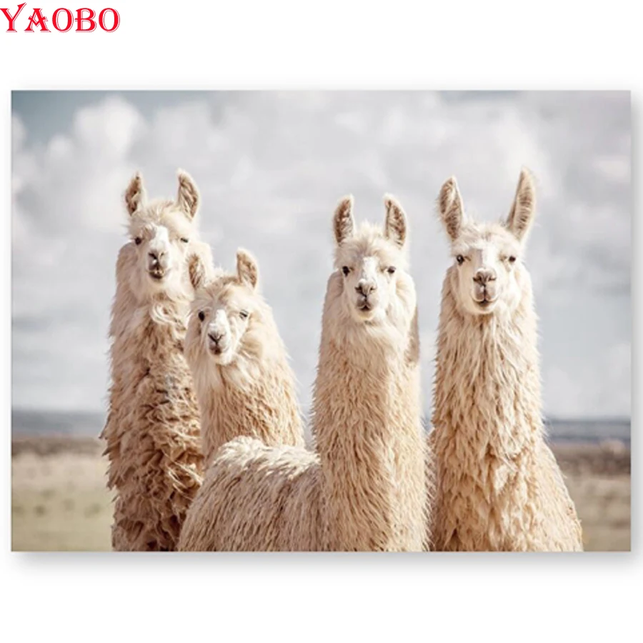 Diy Алмазная Вышивка Животных Альпака фотография картина 5d полный горный хрусталь