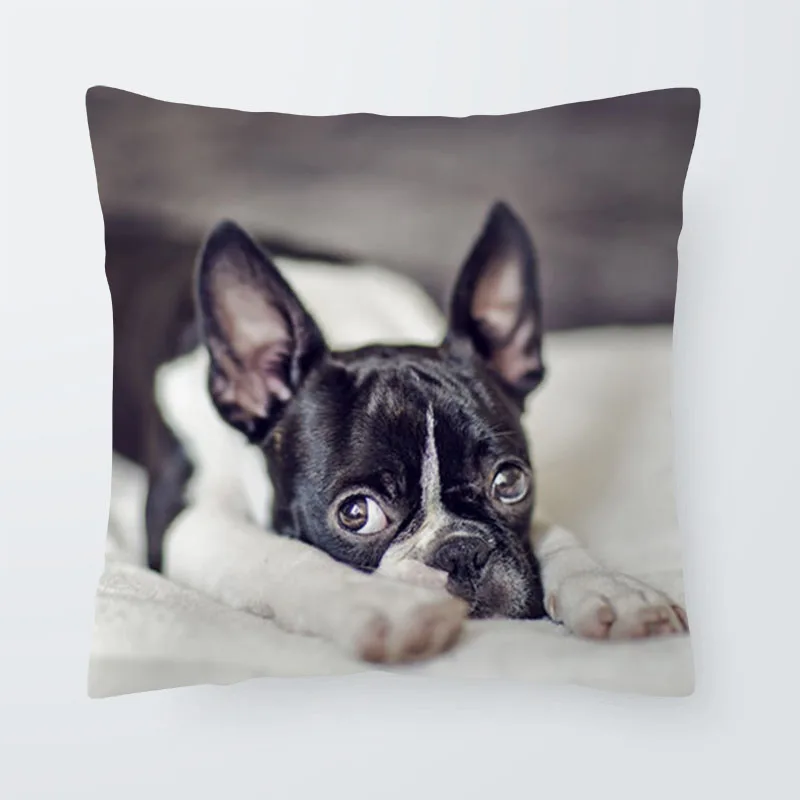 Мопс-тцу Чехлы собака Бостон терьер Подушка Чехол в этническом стиле книги