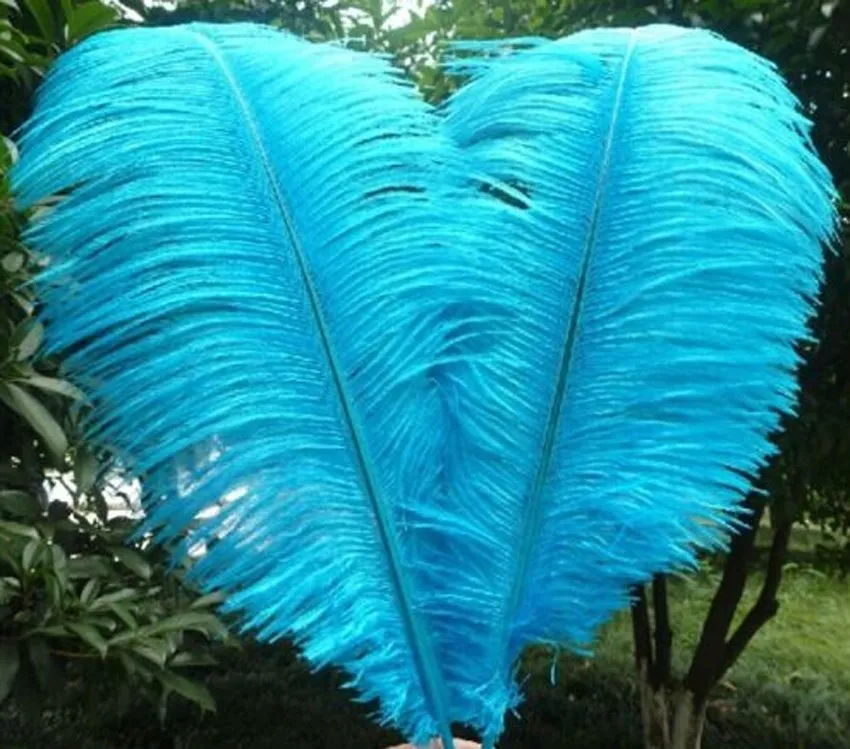 Горячие 10 шт Свадебные дни рождения натуральные перья страуса 10-12 дюймов/25-30 см