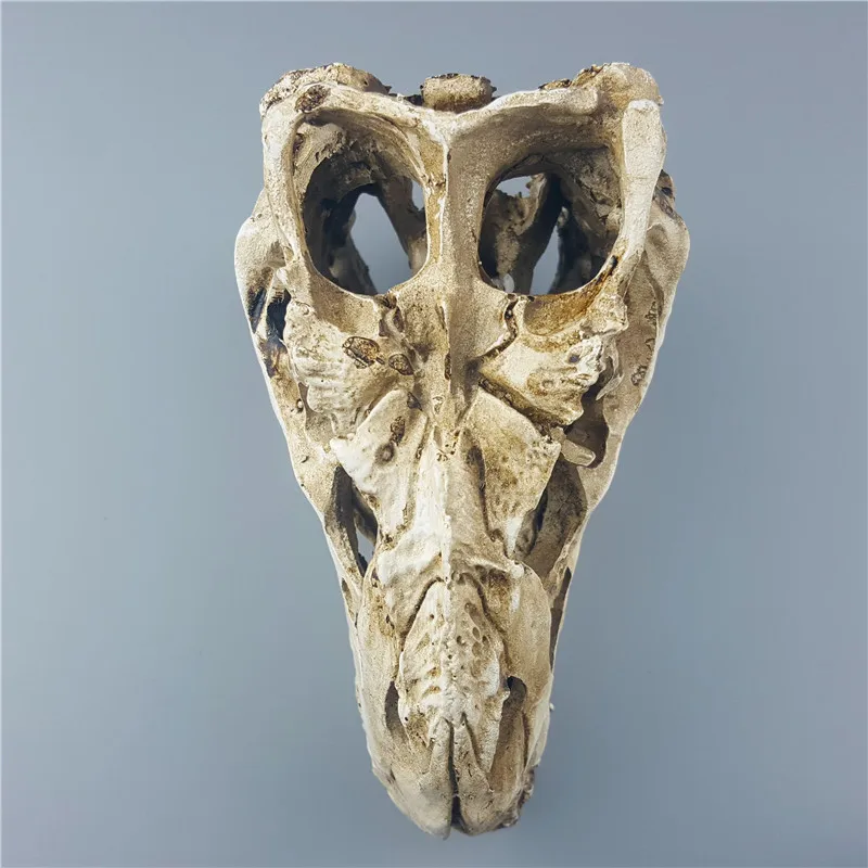 MRZOOT Смола скелет динозавра Модель Tyrannosaurus череп животных Исследование Обучение коллекция ремесла Творческий дом Декор