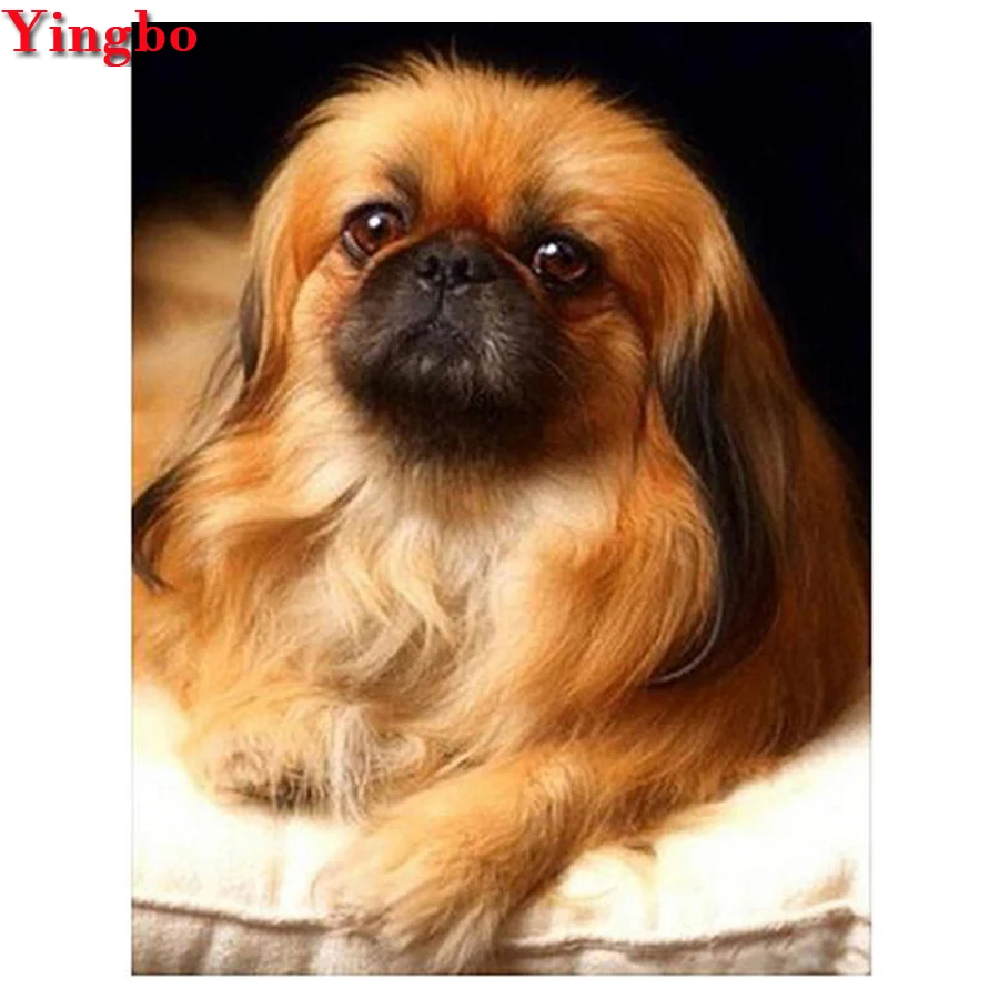 DIY Домашние животные пользовательские фото алмазная живопись Shih Tzu Алмазная