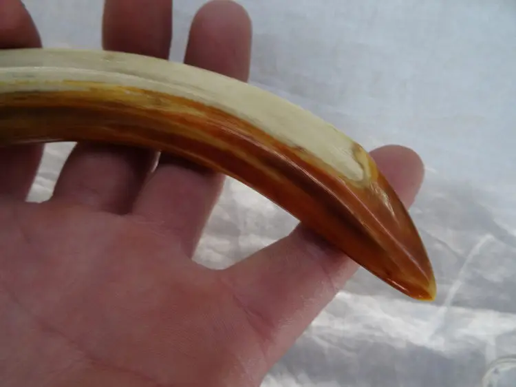 Натуральный Узор Мозаики диких кабанов зубов | Дом и сад