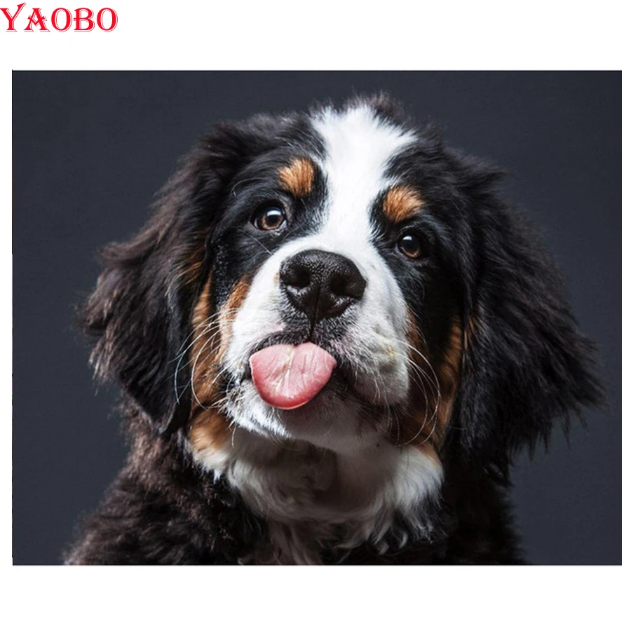

DIY 5D Full Square Round Diamond Painting Cross Stitch Kits Puppy Bernese Mountain Dog Diamond Mosaic Diamond Embroidery Pattern