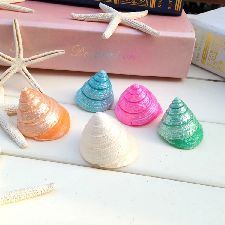 Красочные ракушки в виде крабов hermit ремесленные из натуральных ракушек подарки