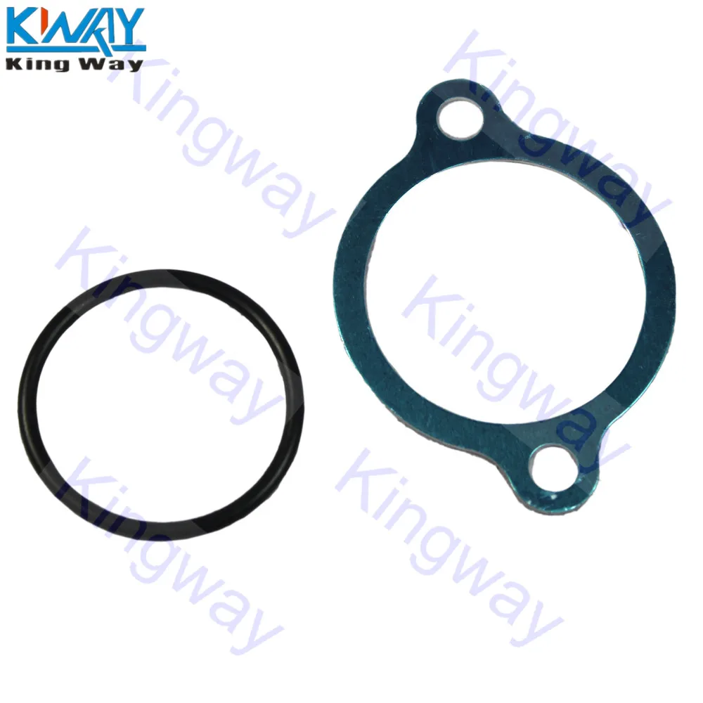 Впускной коллектор 615-376 для 2010-2014 Ford E-150 E-250 4.6L V8 F-150 Lobo бесплатная доставка |