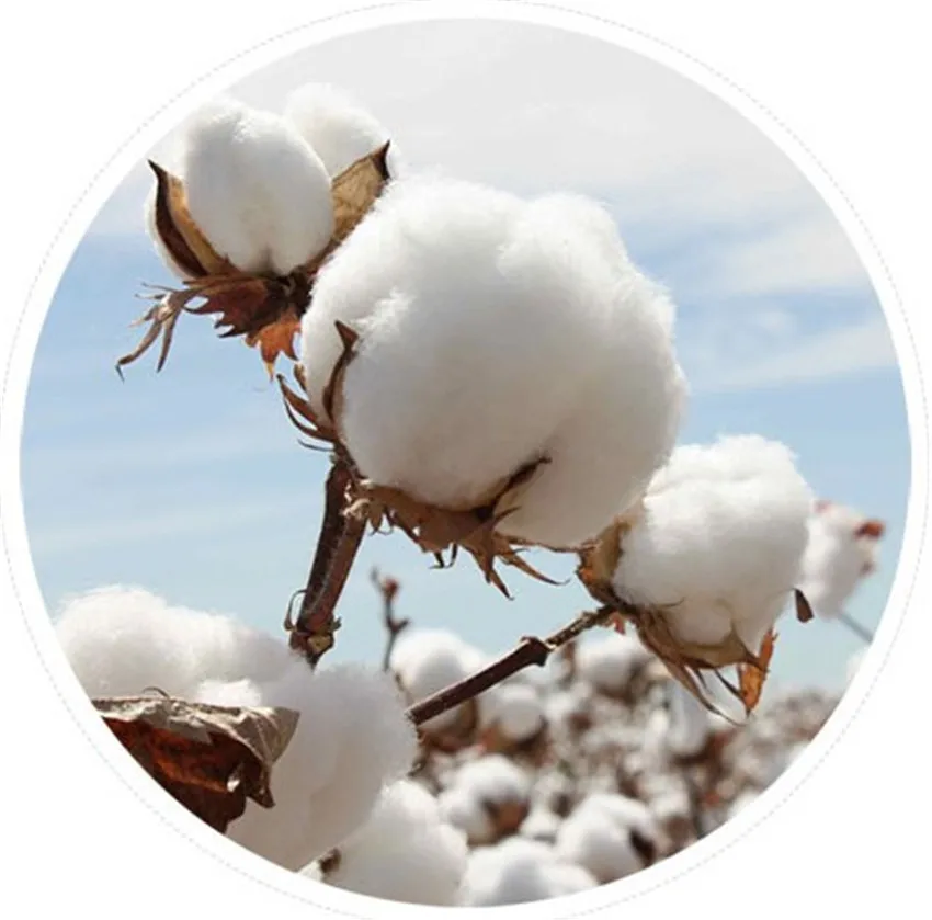 2 шт. полотенце для лица антибактериальное Хлопковое полотенце|Полотенца лица| |