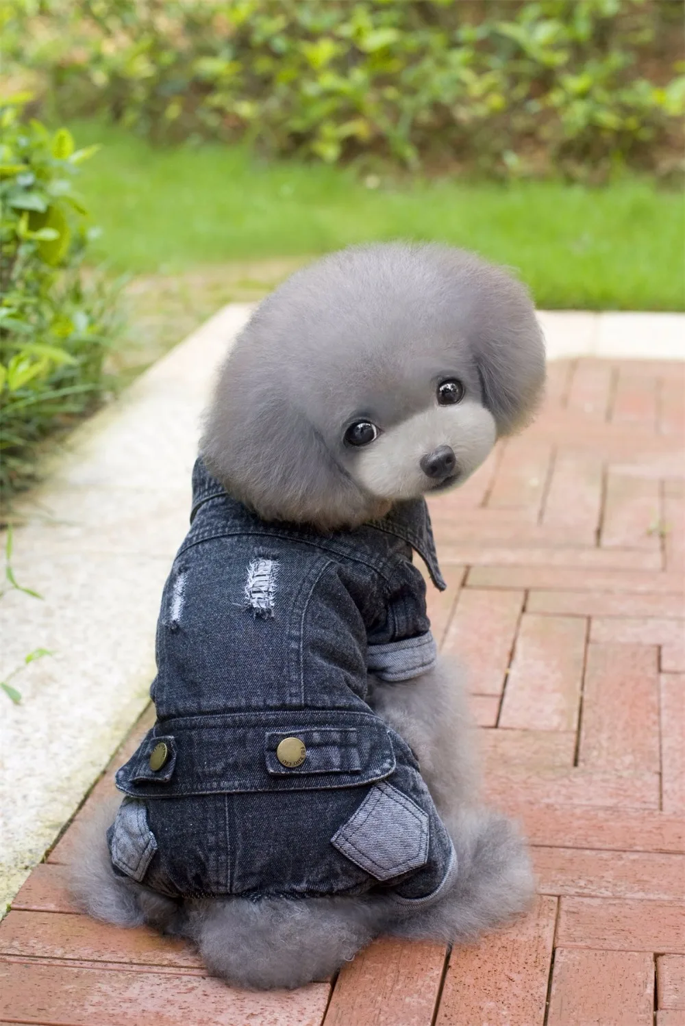 Новинка флисовое и джинсовое зимнее пальто для собак четыре ноги хлопок