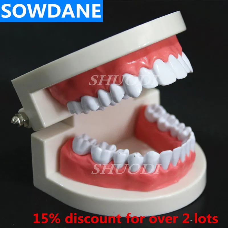 Модель ортодонтического лечения зубов с ортопедическим металлическим