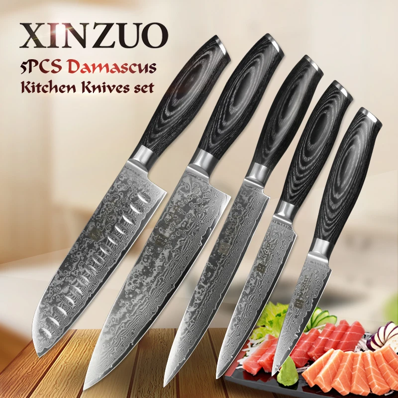 XINZUO 5 шт. набор кухонных ножей 67 слоев японской VG10 дамасской стали нож для мяса шеф-повара кухонные ножи с деревянной ручкой Pakka