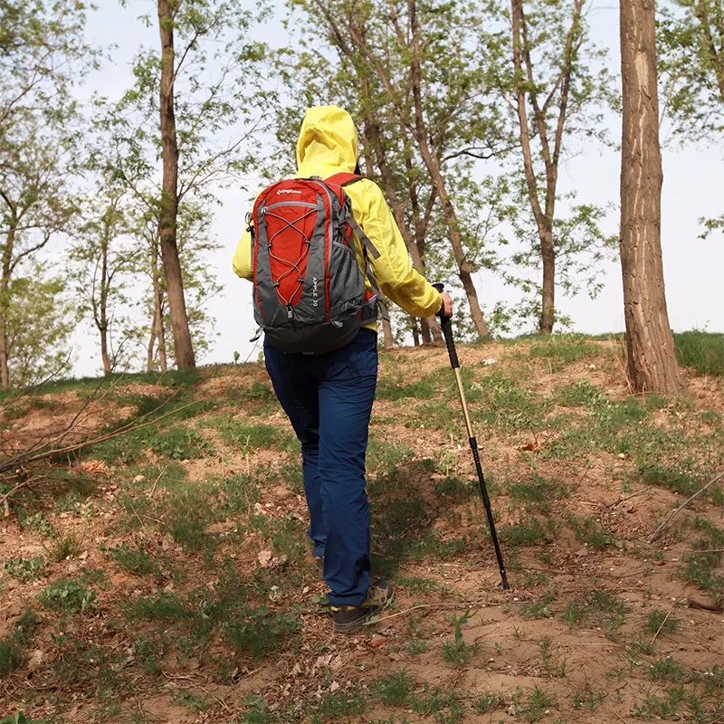 KingCamp палка для похода открытый кемпинг палки трекинговые hiking poles телескопическая трость палки для скандинавской ходьбы