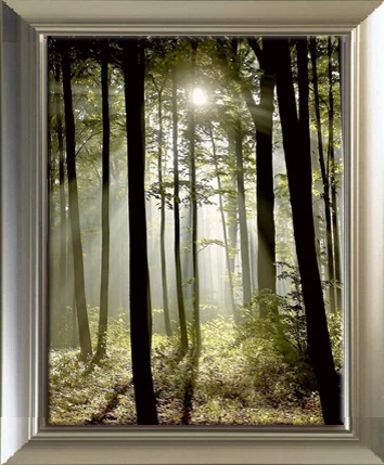 Красивая живописная фотография солнечного света в глубоком лесу полная