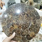 23-25cm Ammonite Fossil Slice Plate Natura Shell a compassl MADAGASCAR FOSSIL SPECIMEN HEALING fashion wedding decoration - Цвет: 23-25cm