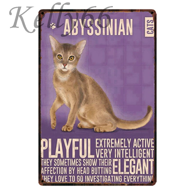 

[ Kelly66 ] Abyssinsan CAT Metal Sign Tin Poster Home Decor Bar Wall Art Painting 20*30 CM Size y-1799