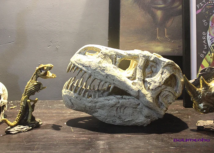 

American Cretaceous Tyrannosaurus Rex Skull Fossil Dinosaur Model Decoration Decoration Bar Decoration Gift