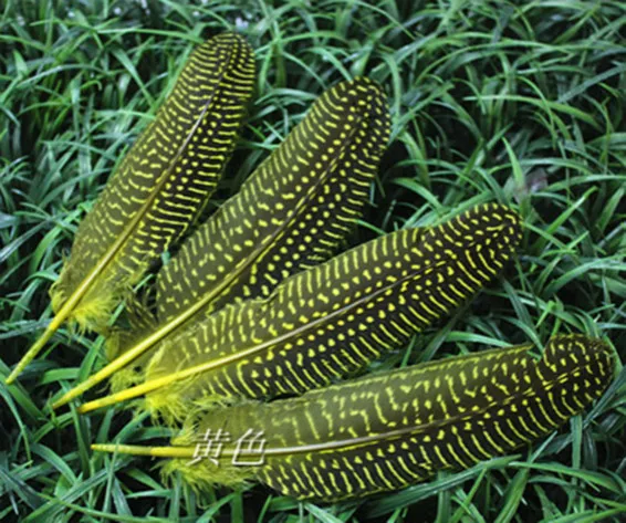 

wholesale 100pcs high quality natural yellow guinea fowl feather 15-20cm/6-8inches Decorative diy chicken feathers
