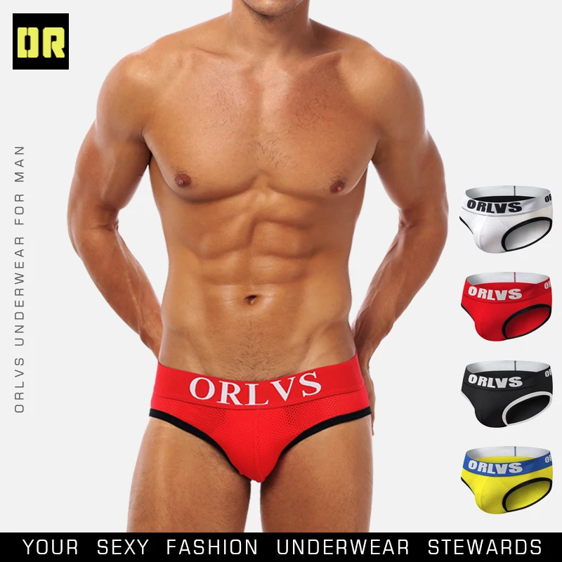 

ORLVS Brand Sexy Men Underwear Low Waist Gay Briefs Mens Underwear Nylon Men Underwear Male Underpants Gay Penis Pouch