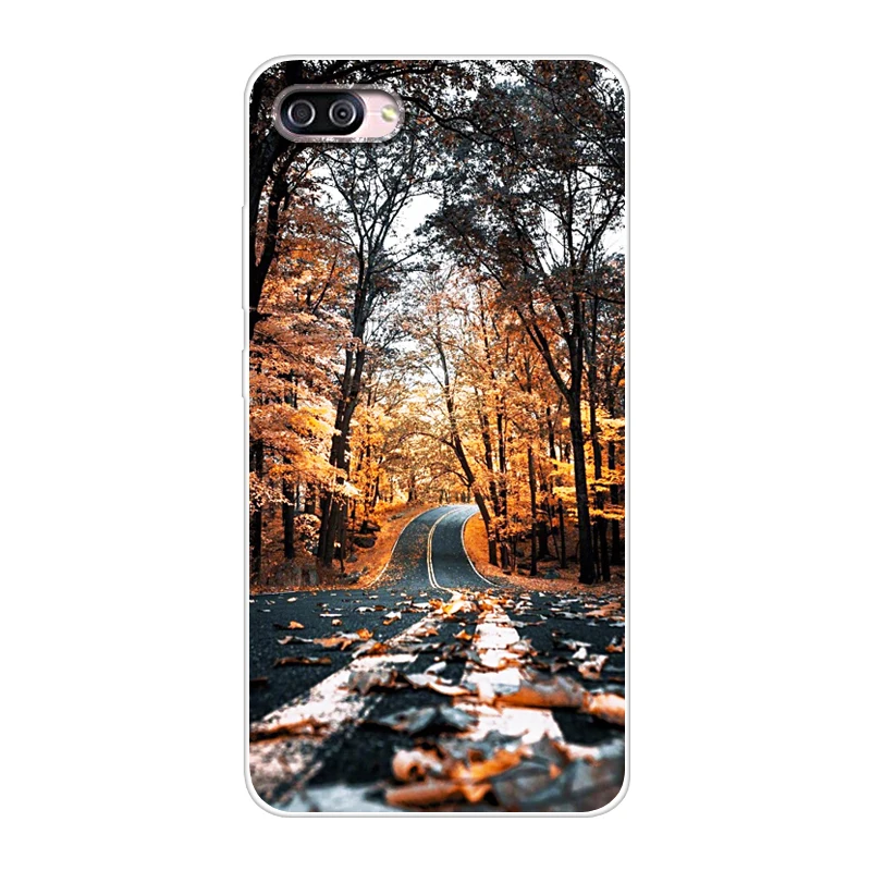 Case For Asus Zenfone 4 Max ZC520KL Transparent Printing Drawing Silicone Phone Cover ZE554KL |