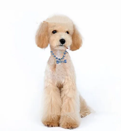 New 2015 Crystal Diamante Bone Rhinestone Pendant Pet Necklace Collar Dog | Дом и сад