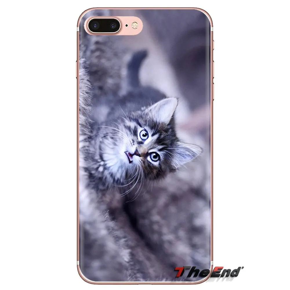 Пушистые обои с принтом кота прозрачные мягкие чехлы Чехлы для iPod Touch Apple iPhone 4 4S 5 5S