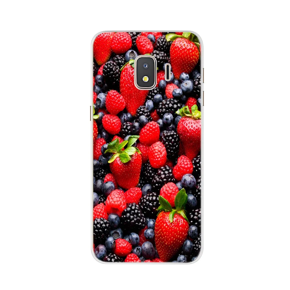 Мягкий силиконовый чехол для Samsung Galaxy J2 Core 2018 с милыми животными задняя крышка
