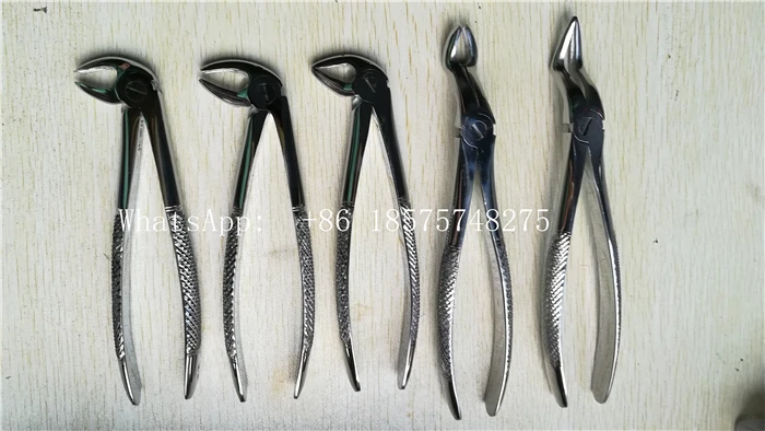 

10pcs/set Dentagra dental forceps Kit adult tooth forceps dental pliers