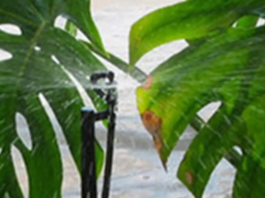 Аксессуары для клеток g тип Распылительная насадка рефракция теплица