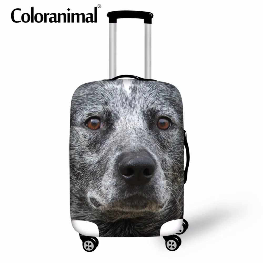 Coloranimal милый чехол с рисунком собаки для путешествий школы защитный багажа