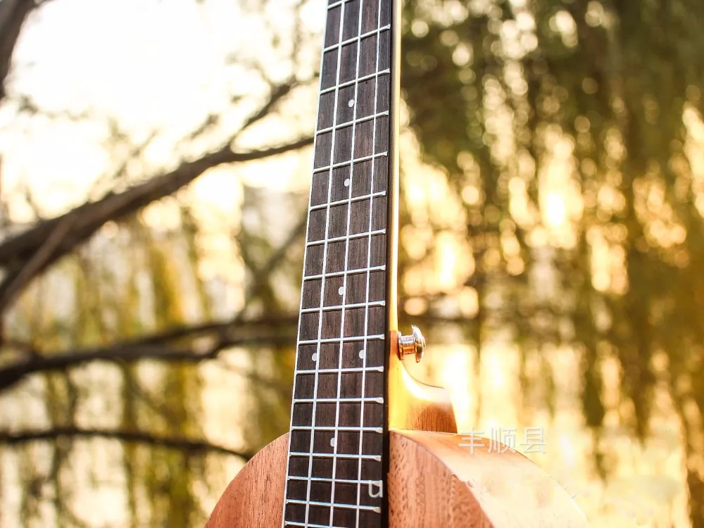 Укулеле концертная 23 дюймов электрическая гитара ананаса 4 струны Ukelele Guitarra ручной работы дерево красное дерево Музыкальные инструменты Uke