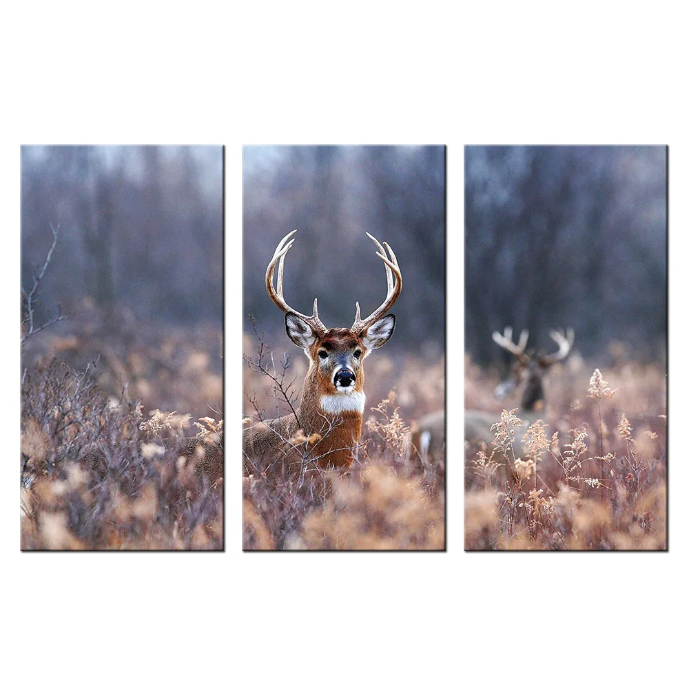 Холст печать дикое животное олень настенная живопись HD Печать лося Картина 3 шт