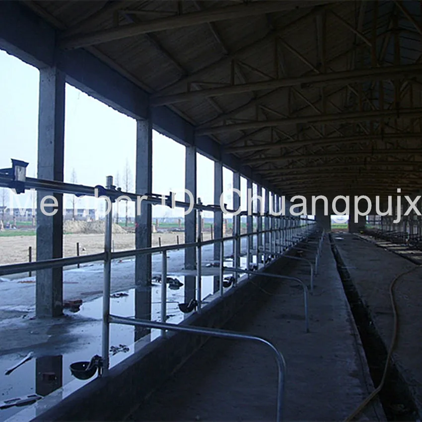 Доильный кабинет для костей|parlor| |