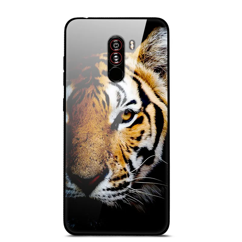 27 Для xiaomi POCOPHONE F1 POCO F1 6 ГБ 64 Гб чехол из закаленного стекла с изображением планеты Космос чехол из стекла для xiaomi Poco F1 Pocophone F1 - Цвет: 27