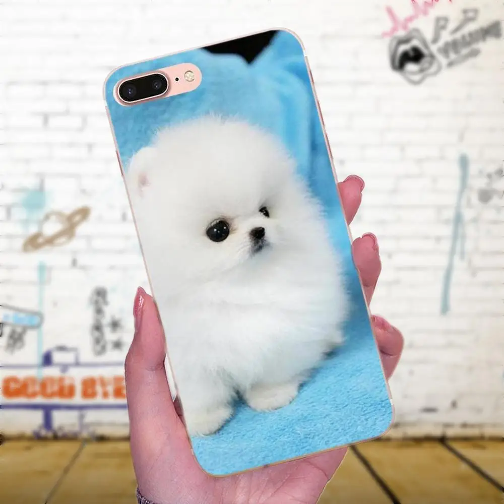 Pomeranian Dog Dogs For Galaxy J1 J2 J3 J330 J4 J5 J6 J7 J730 J8 2015 2016 2017 2018 mini Pro Top Detailed Phone Case | Мобильные