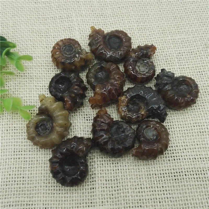 Натуральный Топ &quotкозьего ворса Рог&quot ископаемого винт Природный полированный