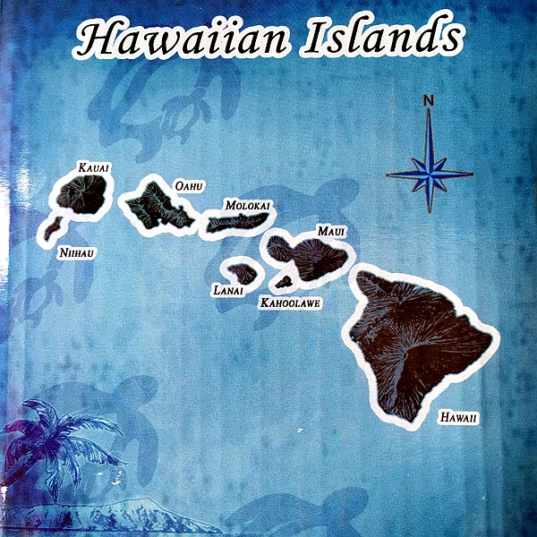 5 стилей коллекция предметы мебели для бара ограниченная серия чашка маори Тики