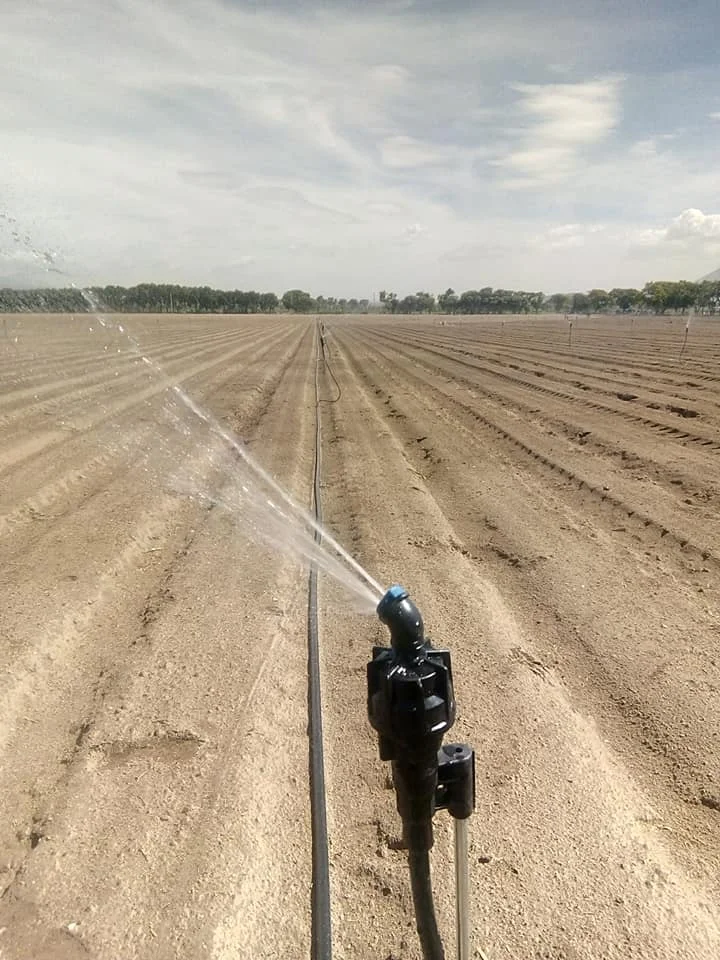 

irrigation system Rainport Mini Sprinklers Super 10